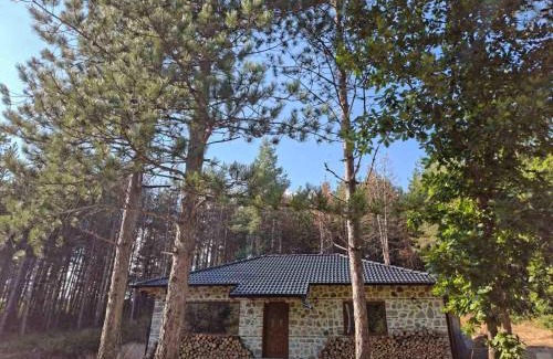 Berovo Villa | Villa Vakanica