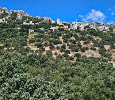 East Mani Apartment | Villa Vasiliki