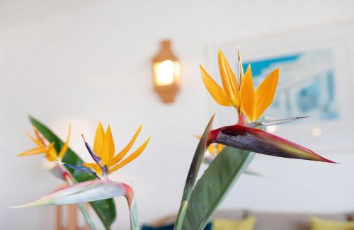El Paso House | Villa Verde Superior B