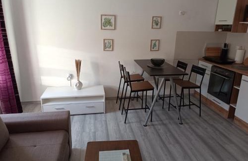 Ilirska Bistrica Apartment | Villa Volk