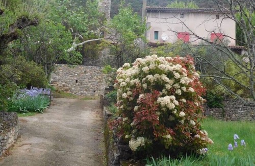 Mialet House | VILLAGE DE MIALET house with garden on road side and village on other side