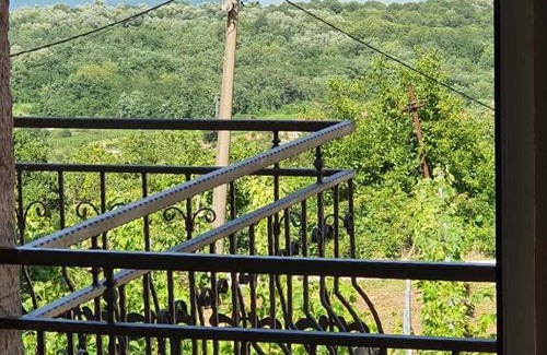 Karuc Apartment | Village house DUNJA