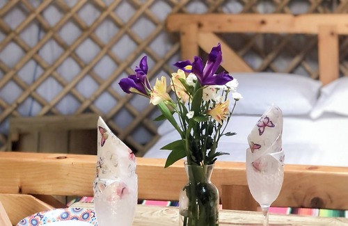 Bethania Cabin | Villager the Yurt with fully-fenced garden - Welcoming Dogs