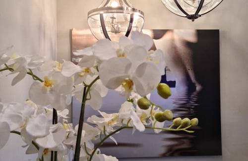 Rodenkirchen Hotel | Villahotel Rheinblick