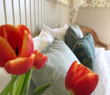Gamla staden Bed & Breakfast | Villamilsten B&B