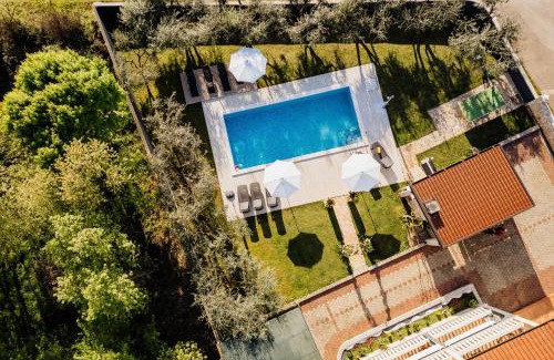 Murine Apartment | VillaTota