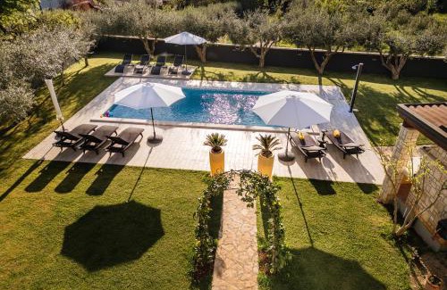 Murine Apartment | VillaTota