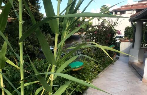 Falcone Villa | Villetta Romeo Casavacanze