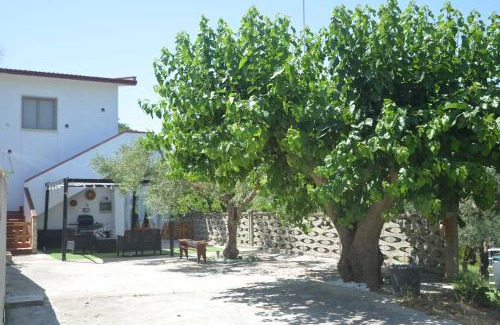 Calatafimi Villa | Villino Anna e Pippino