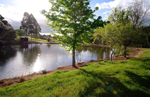 Henty Apartment | Vineyard Accomodation - Self Catering
