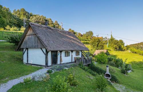 Srednje Grcevje House | Vineyard Cottage Skatlar 2