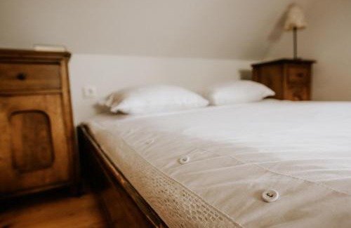 Smarje pri Jelsah House | Vineyard Cottage Zdolsek