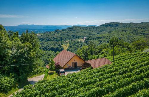 Srednje Grcevje House | Vineyard Cottage Ucman - Happy Rentals