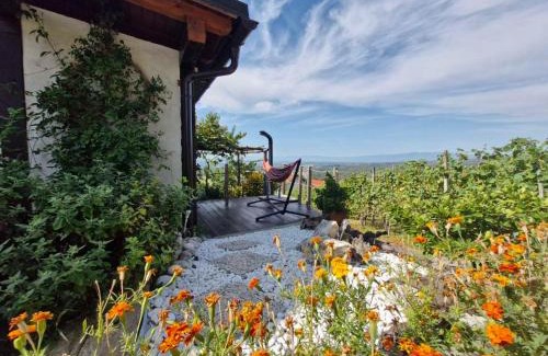 Drasici House | Vineyard Cottage with Private Jacuzzi