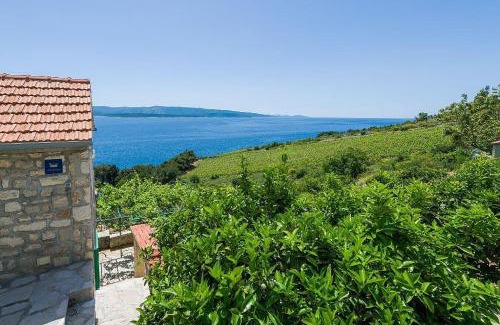 Murvica Apartment | Vineyard Cottages - Murvica (146)