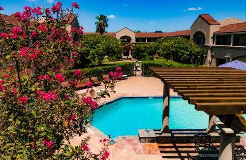 College Station Hotel | Vineyard Court Designer Suites Hotel