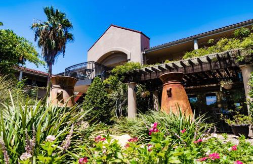 College Station Hotel | Vineyard Court Designer Suites Hotel