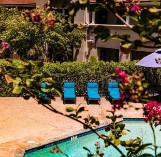 College Station Hotel | Vineyard Court Designer Suites Hotel