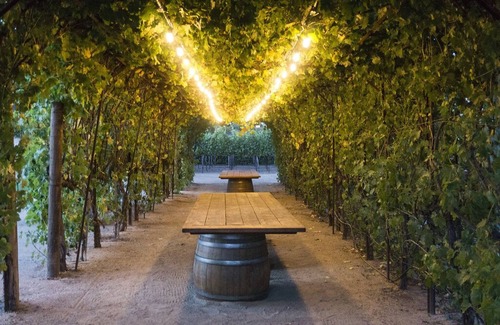 Morgan Hill Apartment | Vineyard suite located in the orchard with private entrance.