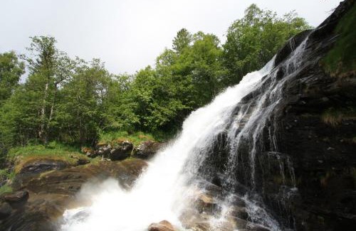 Geiranger Other | Vinje Camping