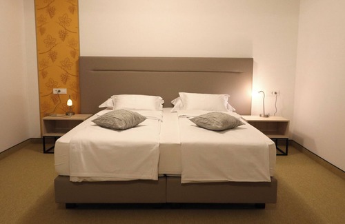 Aljmas Hotel | VINOTEL BRZICA ALJMAŠ