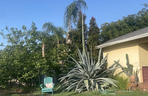 Altadena House | Vintage home near Rose Bowl & JPL/NASA. So many trails great for active folks