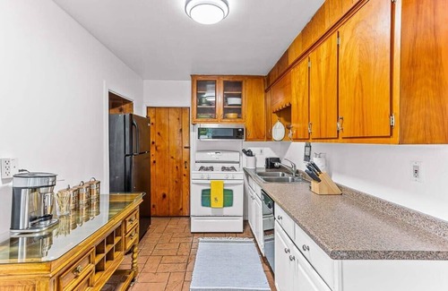 East Lansing Apartment | Vintage-modern apartment with hot tub!