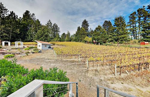 Freestone House | Vinyard Cottage