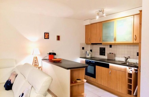 Ovronnaz Apartment | Viognier 5 by Interhome