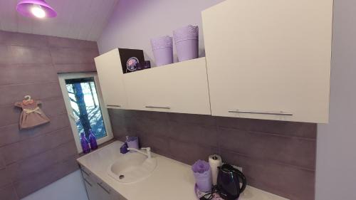 Anyksciai House | VIP Yellow dream house Sodyba Geras geltona žalia raudona violetinė
