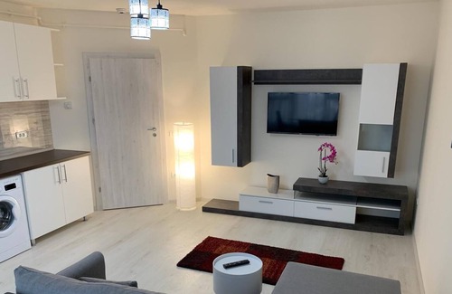 Timisoara Apartment | Visaj Residence rental