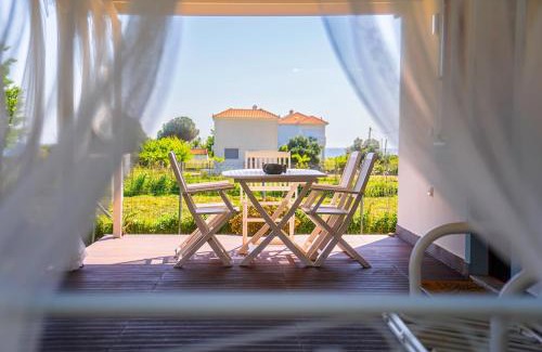 Arta House | Vitta's House