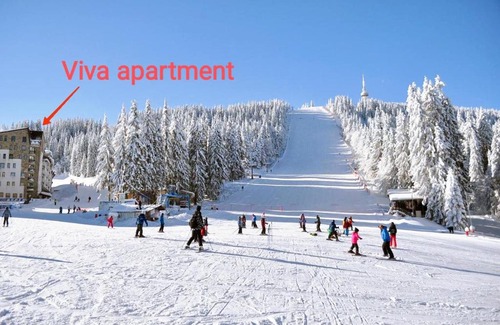 Pamporovo Apartment | Viva 6 apartment in hotel Stenata Pamporovo