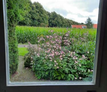 Municipality of Stadskanaal Apartment | Vledderstee