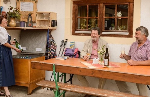 Weissenkirchen in der Wachau Apartment | Vrbo Property