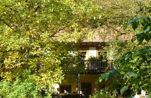 Urbar Apartment | Vrbo Property