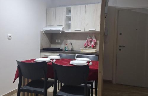 Veliko Gradiste Apartment | Vukan Srebrno jezero