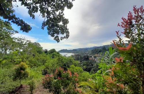 Waisai House | Waisai Blessing Homestay