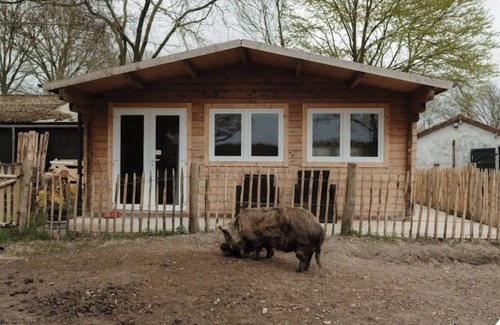 Stevensbeek Ski Chalet | Waking up among the grunting pigs