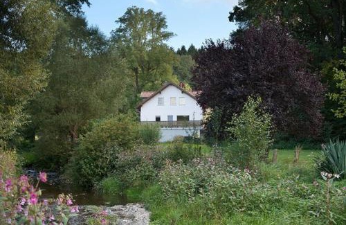 Limbach-Oberfrohna Apartment | Wald-Apartment