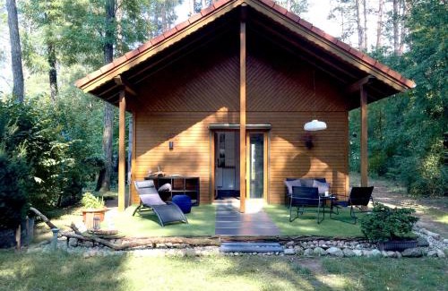 Fichtenwalde House | Wald und Wohlsein