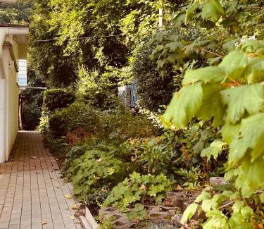 Stecklenberg House | Waldhaus Harz, Natur pur mit Pool, Sauna und traumhaften Garten