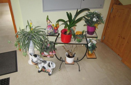 Bromberg House | Waldpension Stachl