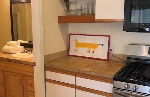Sun Valley Condo | Walk to gondola, Mountain View amazing condo