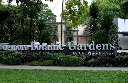 Balestier Apartment | Walk to Mt.Elizabeth, Splendid 2BR-1Bath (55sqm)