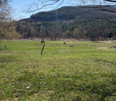 Windham Villa | Walnut Grove
