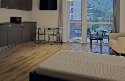 Sinaia Apartment | Walter Apartment Sinaia