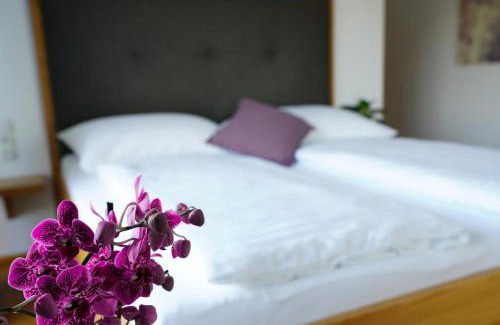 Eisenberg an der Pinka Bed & Breakfast | Walters Weinquartier