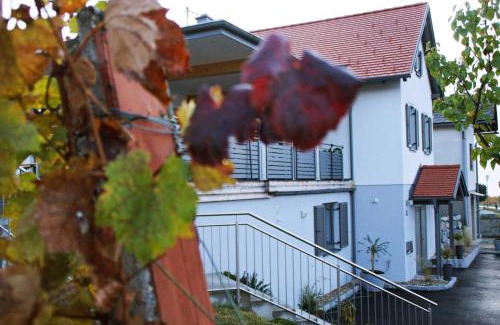 Eisenberg an der Pinka Bed & Breakfast | Walters Weinquartier