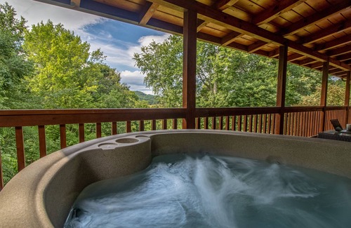 Waynesville Cabin | Wandering Bear Cabin w/Hot Tub & Mountain Views!